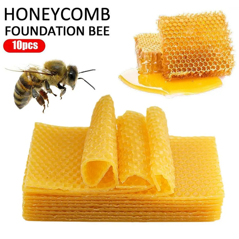 10/20Pcs Natural Beeswax Sheet - Candle Supplies Beeswax 리뷰 및 가격
