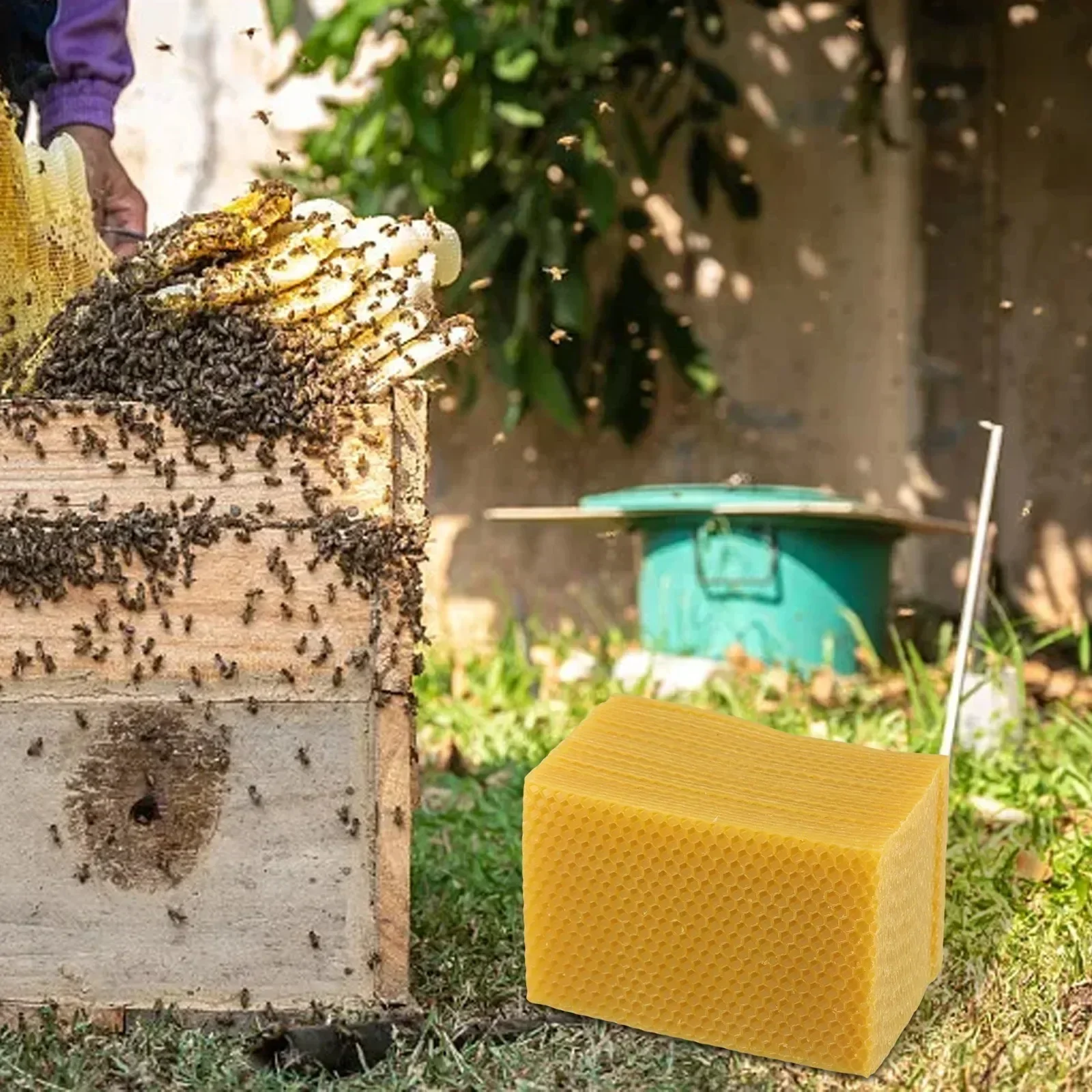 Beehive Supplies Beehive Found - Candle Supplies Beeswax 리뷰 및 가격